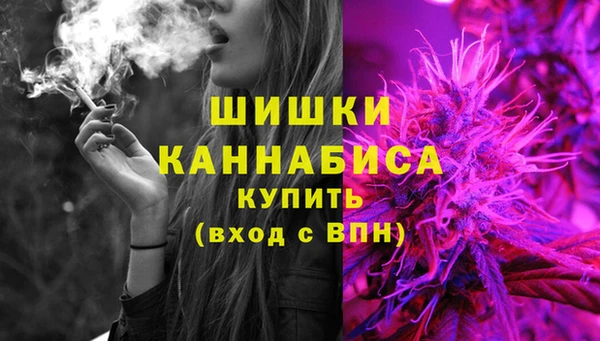хмурый Гусев