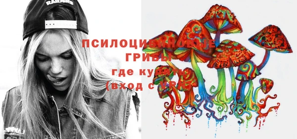 хмурый Гусев