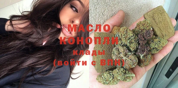 spice Дмитриев