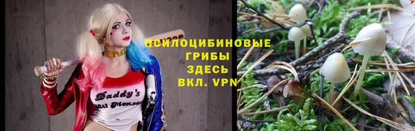 мескалин Гусь-Хрустальный