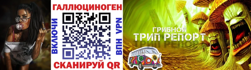 Псилоцибиновые грибы GOLDEN TEACHER  Купить  Спасск-Дальний 